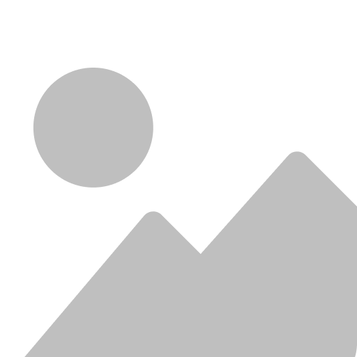 Graphic Designer